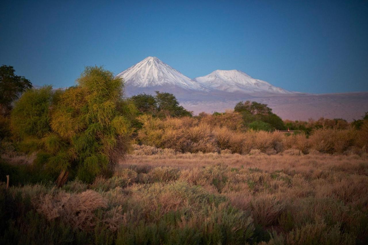 Casa Chincol Pensionat San Pedro de Atacama Exteriör bild