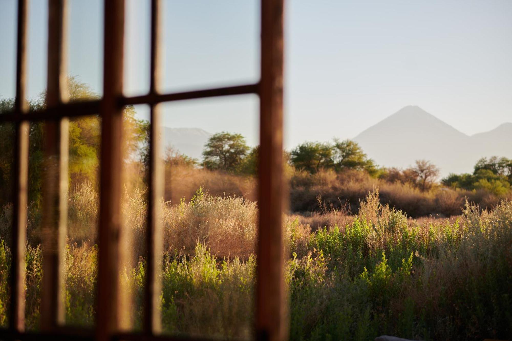 Casa Chincol Pensionat San Pedro de Atacama Exteriör bild
