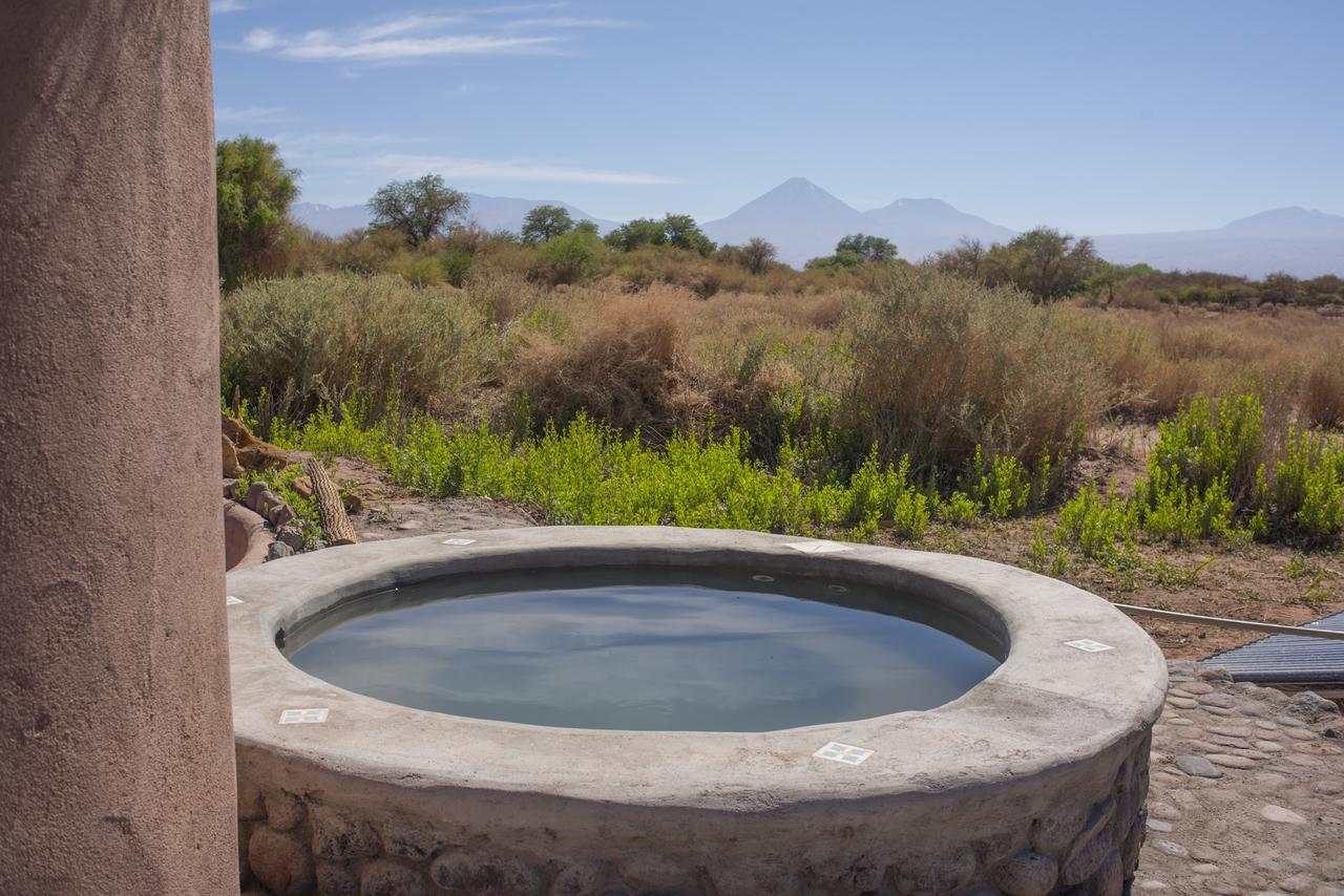 Casa Chincol Pensionat San Pedro de Atacama Exteriör bild